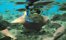 Cuatro Cienegas Nature Reserve