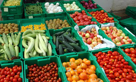 Mexico Coahuila agriculture