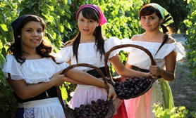 Parras de la Fuente Coahuila