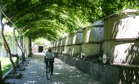 parras wine coahuila mexico